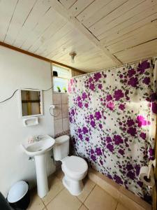 ein Bad mit einem WC und einem Waschbecken in der Unterkunft Cabaña en linares camino el embalse ancoa in Linares