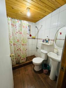 ein Bad mit einem WC und einem Waschbecken in der Unterkunft Cabaña en linares camino el embalse ancoa in Linares