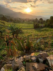 a field with plants and rocks and the sunset at TARAHARA salud y bienestar in Santandercito