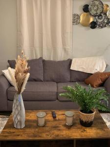 a living room with a couch and a coffee table at Be our guest BOHO 2.0 in Charlotte