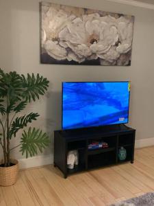 a flat screen tv on a stand in a living room at Be our guest BOHO 2.0 in Charlotte