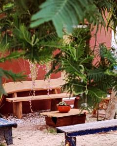een houten bank met een potplant erop bij El Jardín Secreto Se pide seña para reservar in Piriápolis