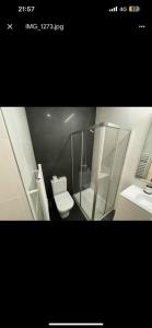 bagno con servizi igienici e lavandino di Figueira da Foz Luxury Villa Suite Room a Buarcos