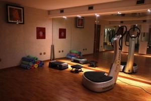 Фитнес-центр и/или тренажеры в Aegeon Hotel