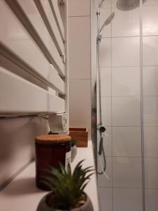 a bathroom with a shower with a plant on a counter at Urlaub mit der ganzen Familie im Ferienhaus in der Natur in Diemelsee