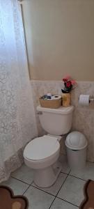 a bathroom with a toilet and a basket of flowers at Casa Anthony in Cuenca