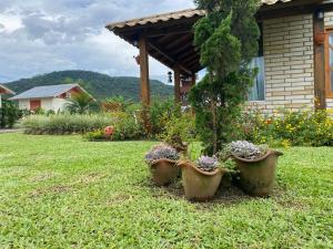 un groupe de plantes en pot devant une maison dans l'établissement Pousada Mirante dos Canyons, à Praia Grande