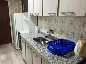 a kitchen with a sink and a blue basket on the counter at Mendoza Center in Mendoza +2 photos
