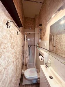 a small bathroom with a toilet and a sink at Estudio Departamento Madrid Noroeste Las Rozas in Las Rozas de Madrid