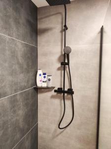 a shower with a shower head in a bathroom at Nový Exkluzívny 2 izbový apartmán Rajpark Residence Rajecké Teplice in Rajecké Teplice