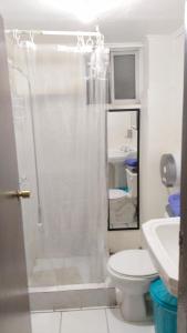 een badkamer met een douche, een toilet en een wastafel bij Hostal Donde Gabriel in Chillán