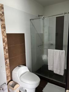 uma casa de banho com um WC e uma cabina de duche em vidro. em Hotel El Jardín Cafetero Armenia em Armênia