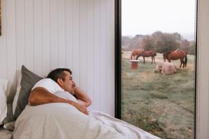 a man laying in bed looking out a window at horses at Bedervale Tiny in Braidwood