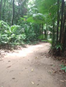 uma estrada de terra no meio de uma floresta em Suíte com ar condicionado próximo ao Estádio Mangueirão em Belém