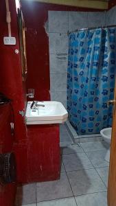 a bathroom with a sink and a blue shower curtain at Departamentos Lina in El Bolsón +9 photos