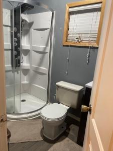 a bathroom with a toilet and a shower at Man cave apartment in Athens