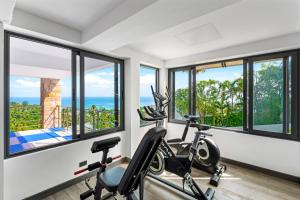 Fitness centrum a/nebo fitness zařízení v ubytování Tropical Villa 3
