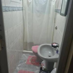 聖佩德羅－達阿爾德亞的住宿－Kitnet em ambiente familiar，一间带水槽、淋浴和卫生间的浴室