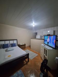 聖佩德羅－達阿爾德亞的住宿－Kitnet em ambiente familiar，一间卧室配有一张床和一台平面电视
