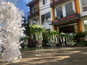 una fila de árboles blancos frente a un edificio en Vi-Da Guest Resort, en Irosin