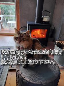 Domácí mazlíčci ubytovaní s hosty v ubytování 農家民泊 月の瀬