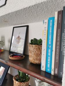 a shelf with books and a picture and a plant at Casetta vista lago con giardino Gandria in Gandria