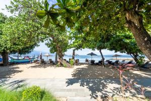 沙努爾的住宿－卡尤拉海濱別墅，海滩上设有椅子和遮阳伞,还有大海