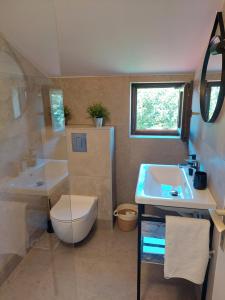 ein kleines Badezimmer mit Toilette und Waschbecken in der Unterkunft Vila Virago in Vir + 17 Fotos