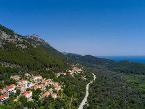 a small town on a hill with a winding road at Apartments with parking spaces Babino Polje, Mljet - 22321 in Babino Polje