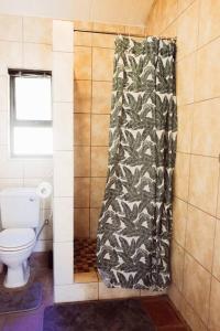 a bathroom with a toilet and a shower curtain at Bains Kloof Cycling Retreat in Wellington