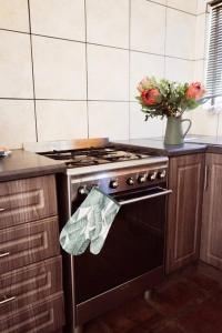 a kitchen with a stove and a vase of flowers at Bains Kloof Cycling Retreat in Wellington