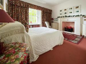 阿普爾克羅斯的住宿－Applecross Manse，一间卧室配有一张床和一个壁炉