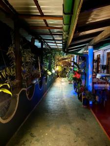Fotografie z fotogalerie ubytování Cozy Homestay Waterfall Road Ella v destinaci Ella