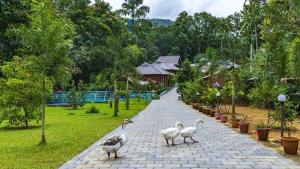 um grupo de patos andando por uma estrada de tijolos em Budgies Cottage em Thattakād