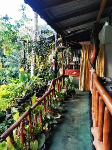 Zahrada ubytování Cozy Homestay Waterfall Road Ella