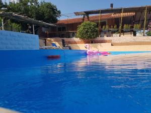 un canard rose dans l'eau dans une piscine dans l'établissement Farma Tsalta Olympus Larisa, à Pyrgetós