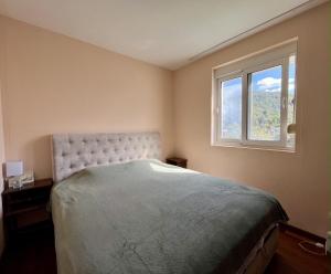 een slaapkamer met een bed en een raam bij Lisa sea view in Petrovac na Moru