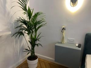 a potted plant in a living room next to a table at Style Central in Bucharest