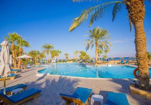 a swimming pool with palm trees and blue lounge chairs at Nuweiba Club Resort in Nuweiba
