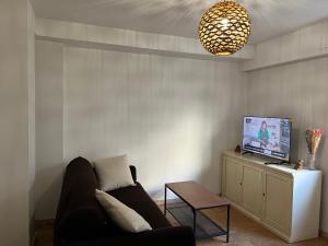 ein Wohnzimmer mit einem Sofa und einem TV in der Unterkunft T2 proche plage et casino in Menton