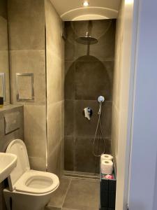 La salle de bains est pourvue d'une douche et de toilettes. dans l'établissement Studio VIP in BLagoevgrad center, à Blagoevgrad