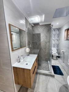 uma casa de banho com um lavatório, um chuveiro e um WC. em Margate Manor em Pretoria