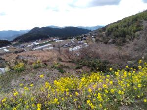Paesaggio naturale nelle vicinanze of country house