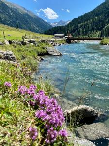 a river with purple flowers on the side of it at Landhaus Rosengartl Krimml in Oberkrimml