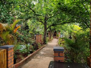 a path in a garden with trees and plants at Silver Spruce Glass Villa 1BHK Kotagiri in Kotagiri