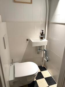 La salle de bains est pourvue de toilettes blanches et d'un lavabo. dans l'établissement Cosy and Fully Equipped Apartment near Antwerp, à Anvers