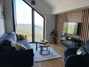 TV i/ili multimedijalni sistem u objektu Divcibare Vrh 26