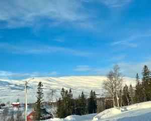 a snow covered hill with a house and trees at Kleiva 8 Skorovas in Namsskogan +45 photos