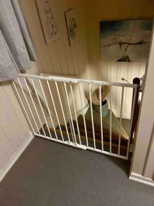 - un lit bébé dans une chambre avec un chat dans l'établissement Kleiva 8 Skorovas, à Namsskogan