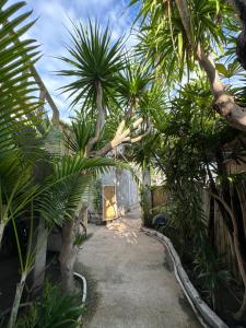 Zahrada ubytování James Bungalow